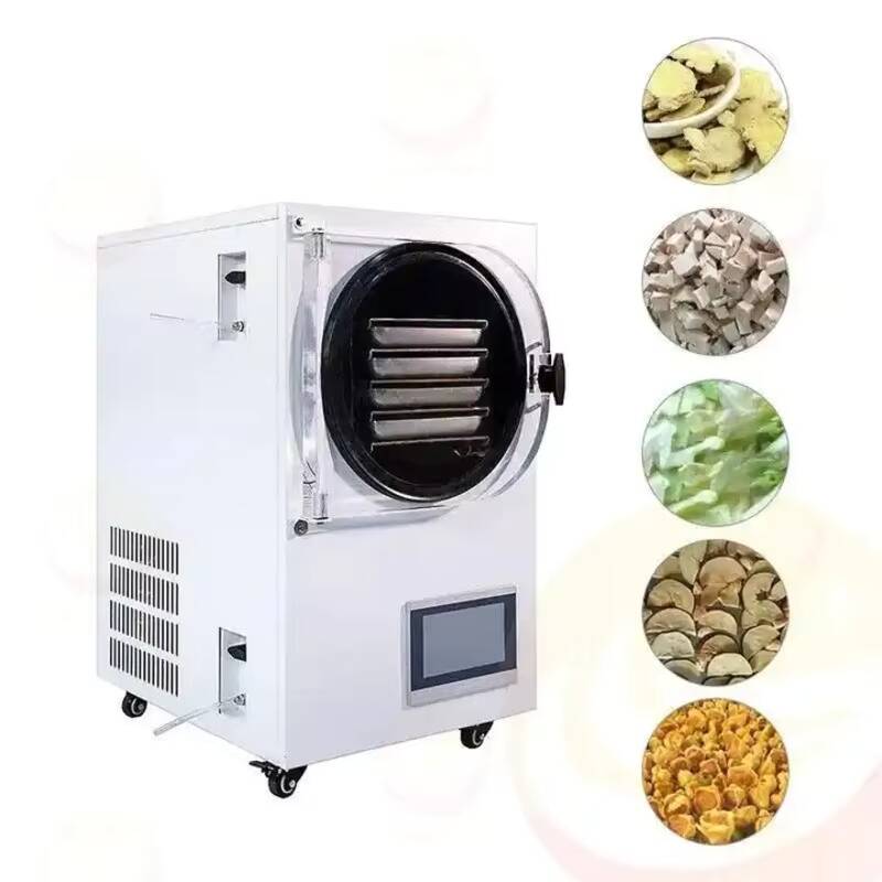 Mesin Pengering Beku Vakum Kec - Vacuum Chamber Small ulasan dan harga